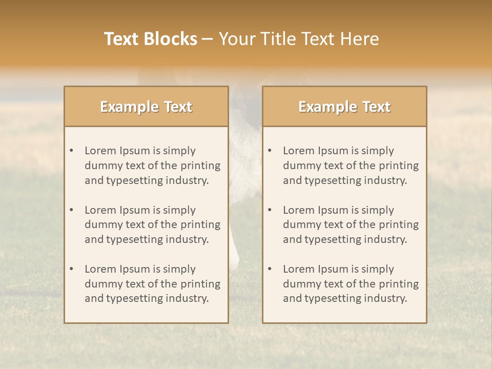 A Black And White Dog Running Across A Field PowerPoint Template