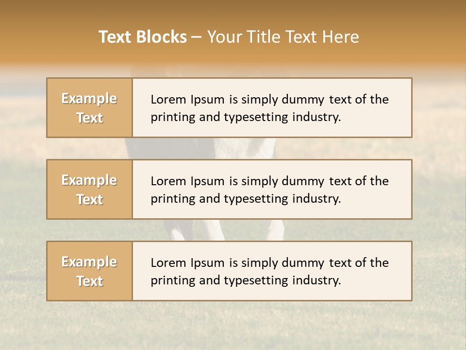 A Black And White Dog Running Across A Field PowerPoint Template