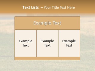 A Black And White Dog Running Across A Field PowerPoint Template