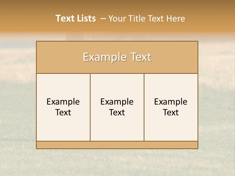 A Black And White Dog Running Across A Field PowerPoint Template