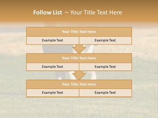 A Black And White Dog Running Across A Field PowerPoint Template