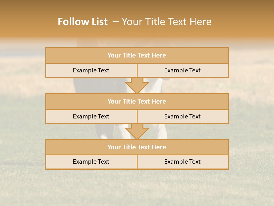 A Black And White Dog Running Across A Field PowerPoint Template