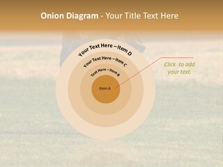 A Black And White Dog Running Across A Field PowerPoint Template