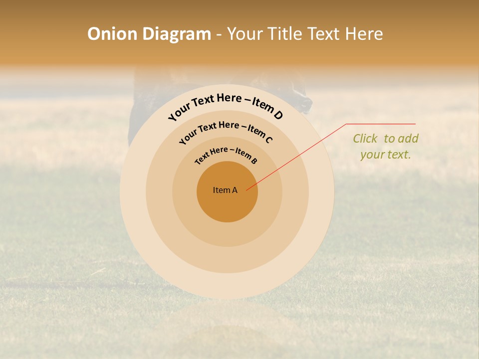 A Black And White Dog Running Across A Field PowerPoint Template