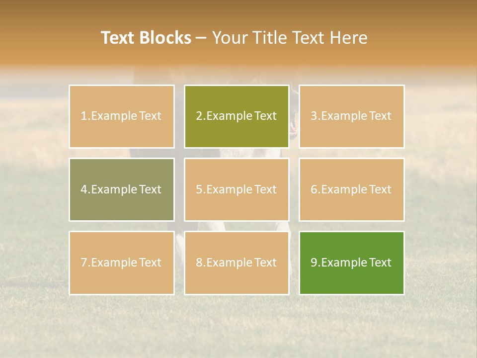 A Black And White Dog Running Across A Field PowerPoint Template