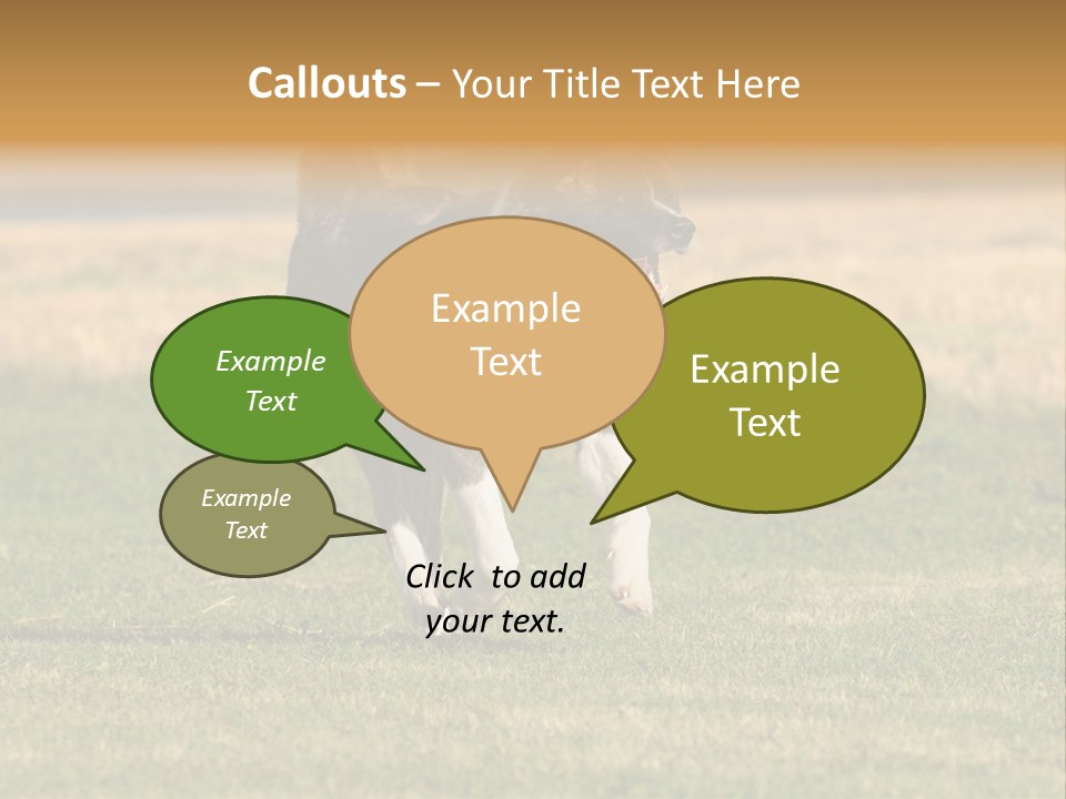 A Black And White Dog Running Across A Field PowerPoint Template