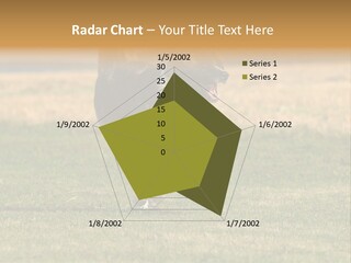 A Black And White Dog Running Across A Field PowerPoint Template