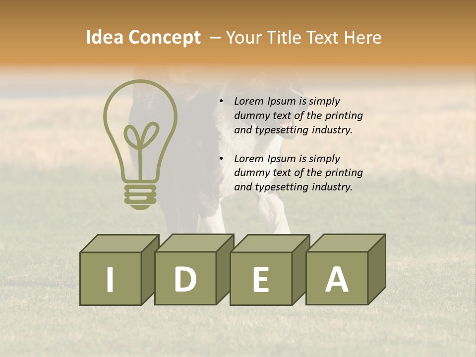 A Black And White Dog Running Across A Field PowerPoint Template