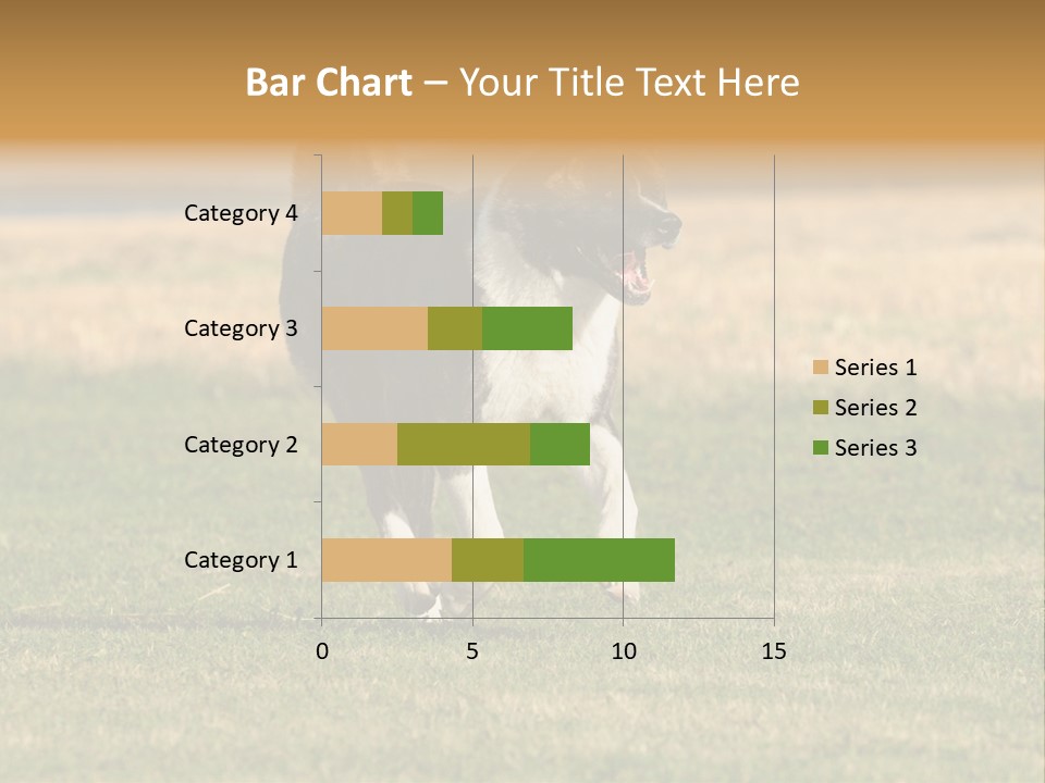 A Black And White Dog Running Across A Field PowerPoint Template