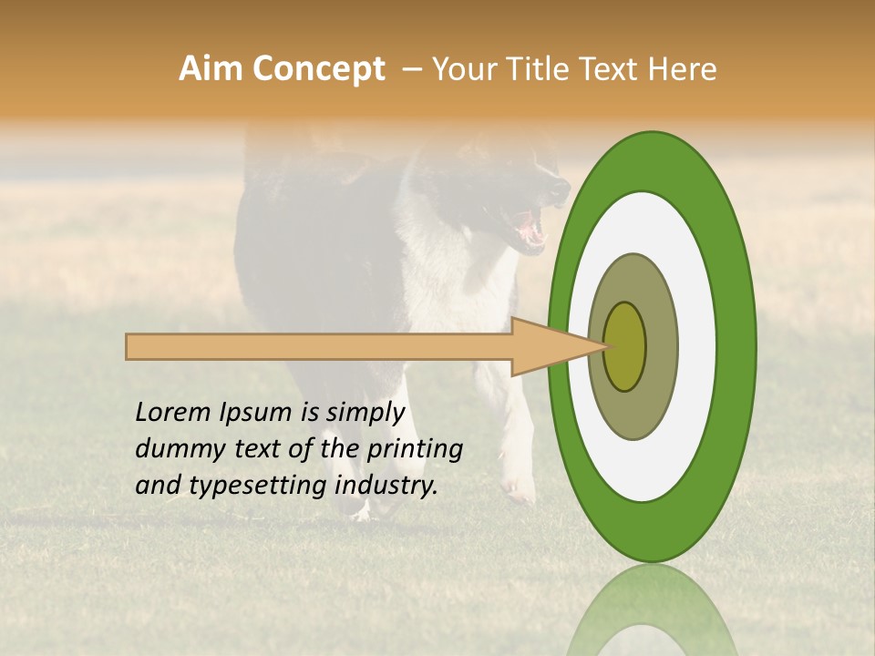 A Black And White Dog Running Across A Field PowerPoint Template