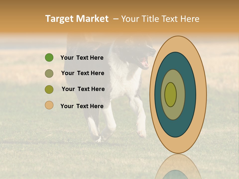 A Black And White Dog Running Across A Field PowerPoint Template