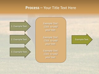 A Black And White Dog Running Across A Field PowerPoint Template
