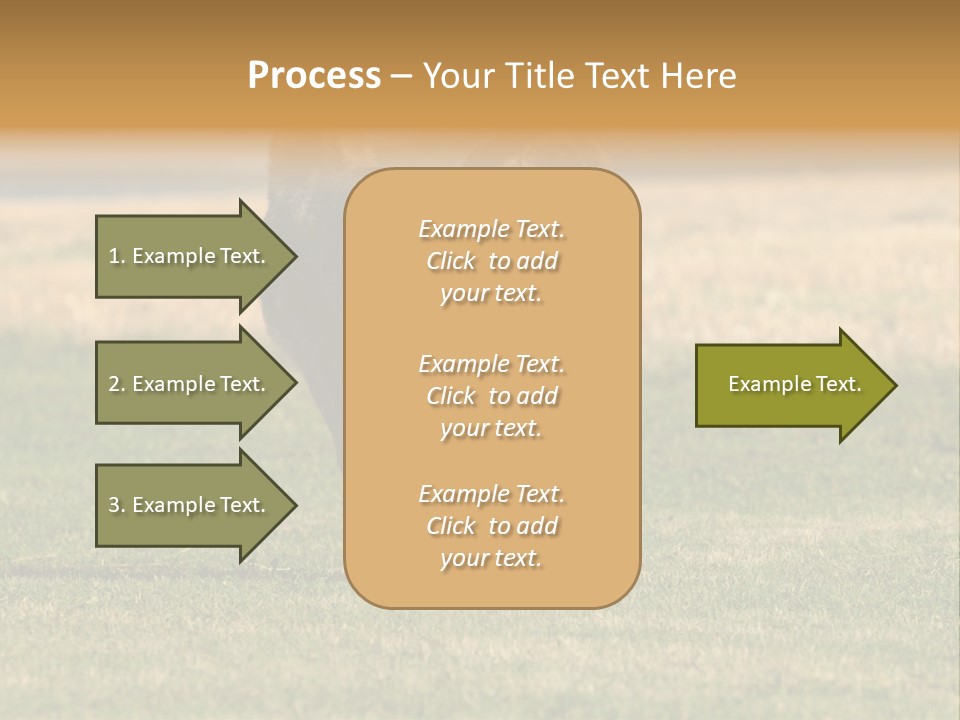 A Black And White Dog Running Across A Field PowerPoint Template
