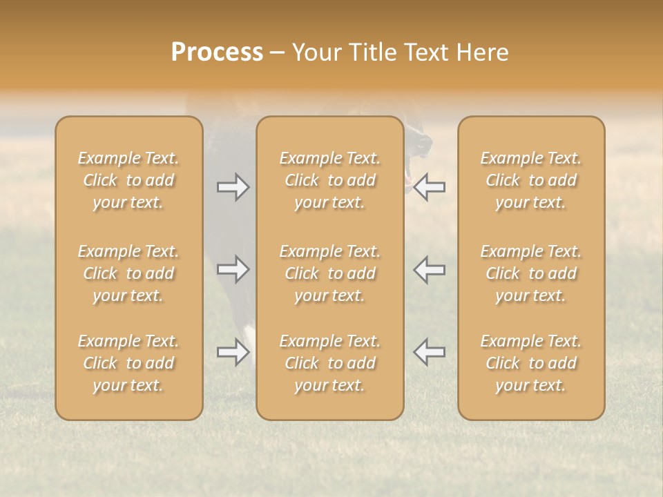 A Black And White Dog Running Across A Field PowerPoint Template
