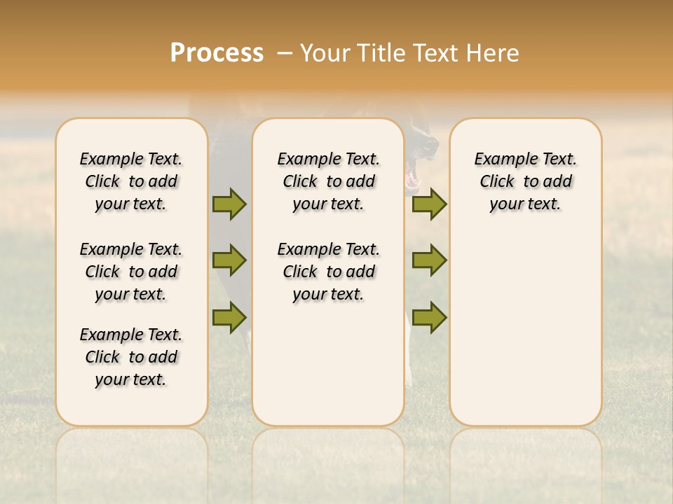 A Black And White Dog Running Across A Field PowerPoint Template