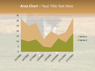 A Black And White Dog Running Across A Field PowerPoint Template