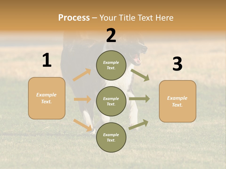 A Black And White Dog Running Across A Field PowerPoint Template