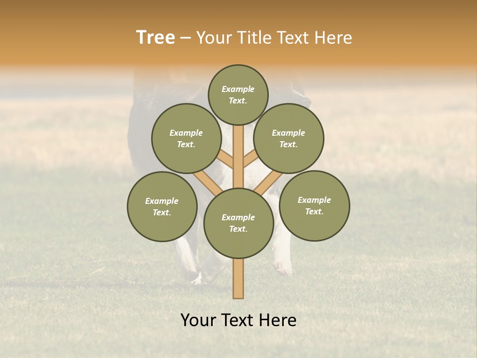 A Black And White Dog Running Across A Field PowerPoint Template