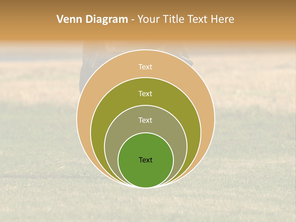 A Black And White Dog Running Across A Field PowerPoint Template