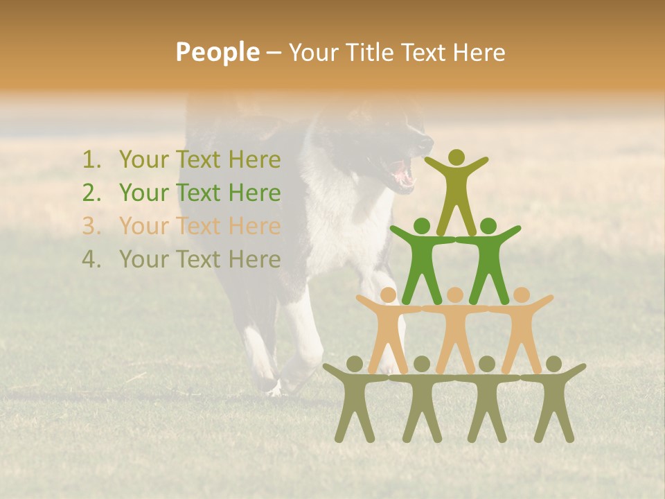 A Black And White Dog Running Across A Field PowerPoint Template