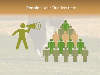 A Black And White Dog Running Across A Field PowerPoint Template