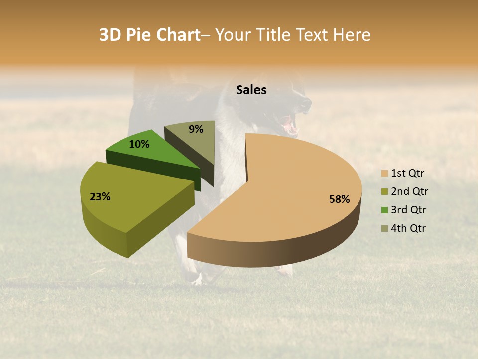 A Black And White Dog Running Across A Field PowerPoint Template