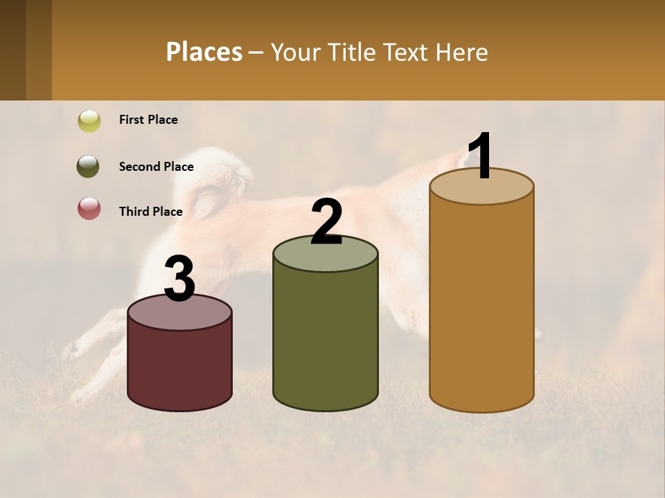 A Brown And White Dog Jumping In The Air PowerPoint Template