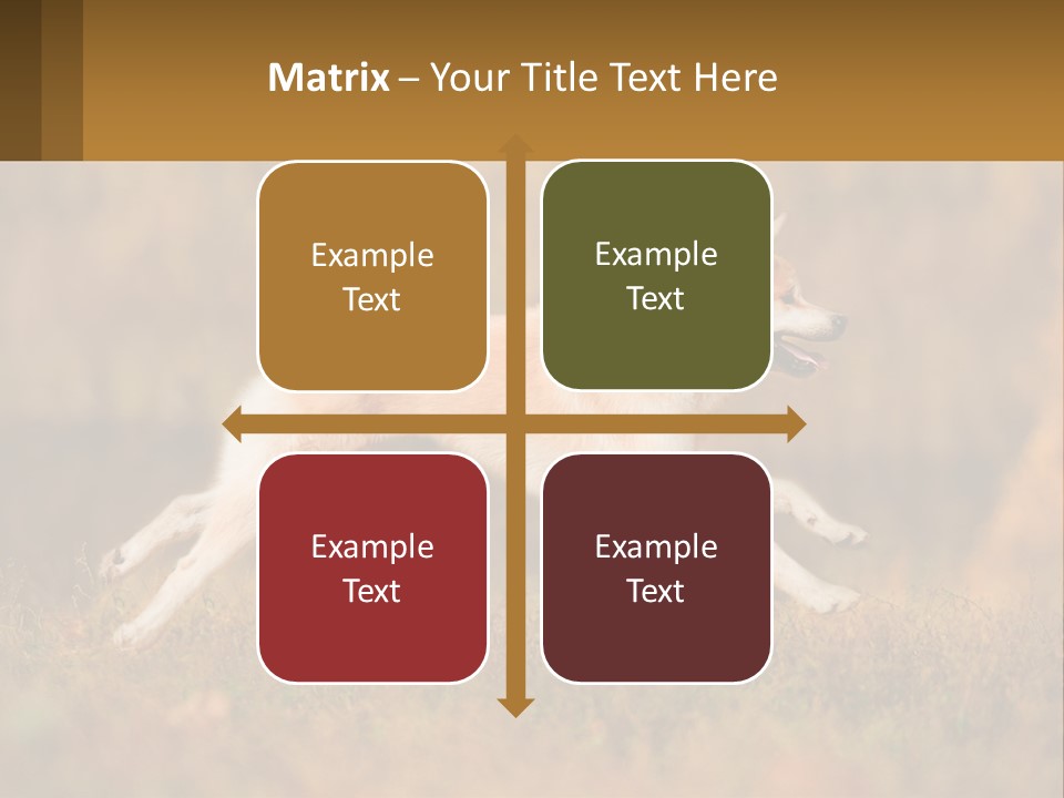 A Brown And White Dog Jumping In The Air PowerPoint Template