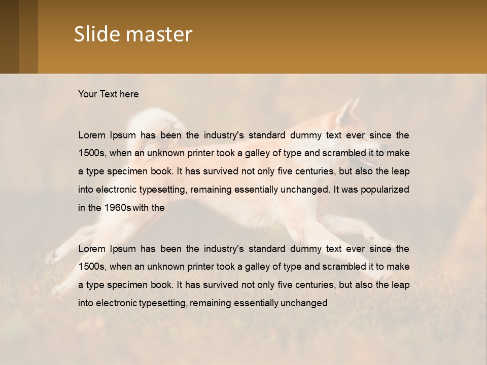 A Brown And White Dog Jumping In The Air PowerPoint Template