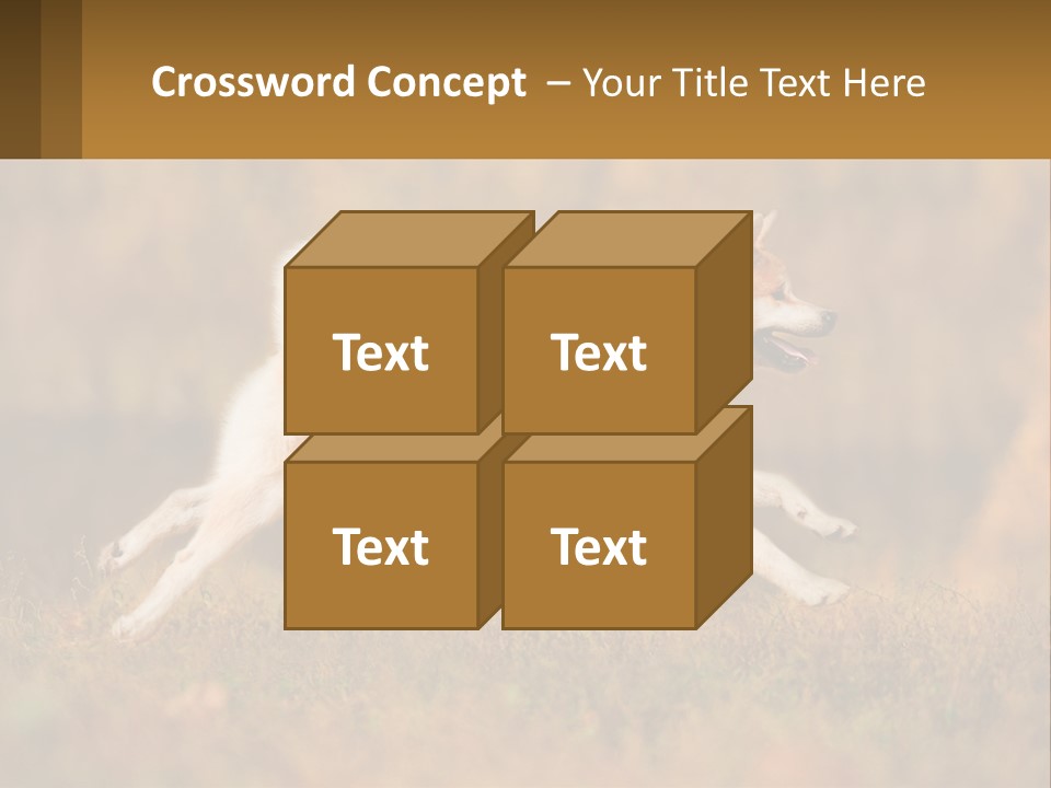 A Brown And White Dog Jumping In The Air PowerPoint Template