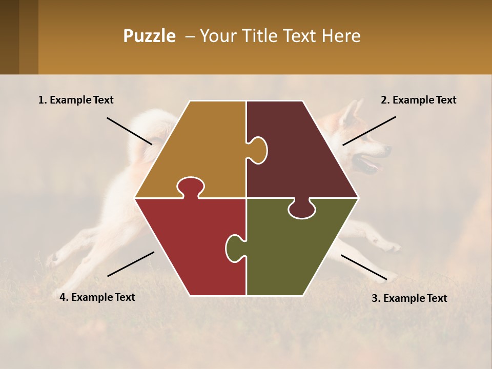 A Brown And White Dog Jumping In The Air PowerPoint Template