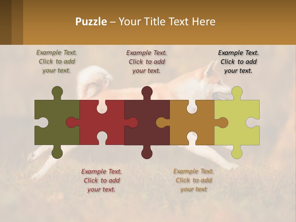 A Brown And White Dog Jumping In The Air PowerPoint Template