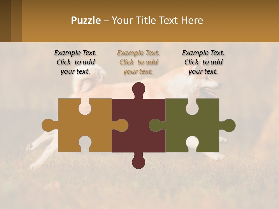 A Brown And White Dog Jumping In The Air PowerPoint Template