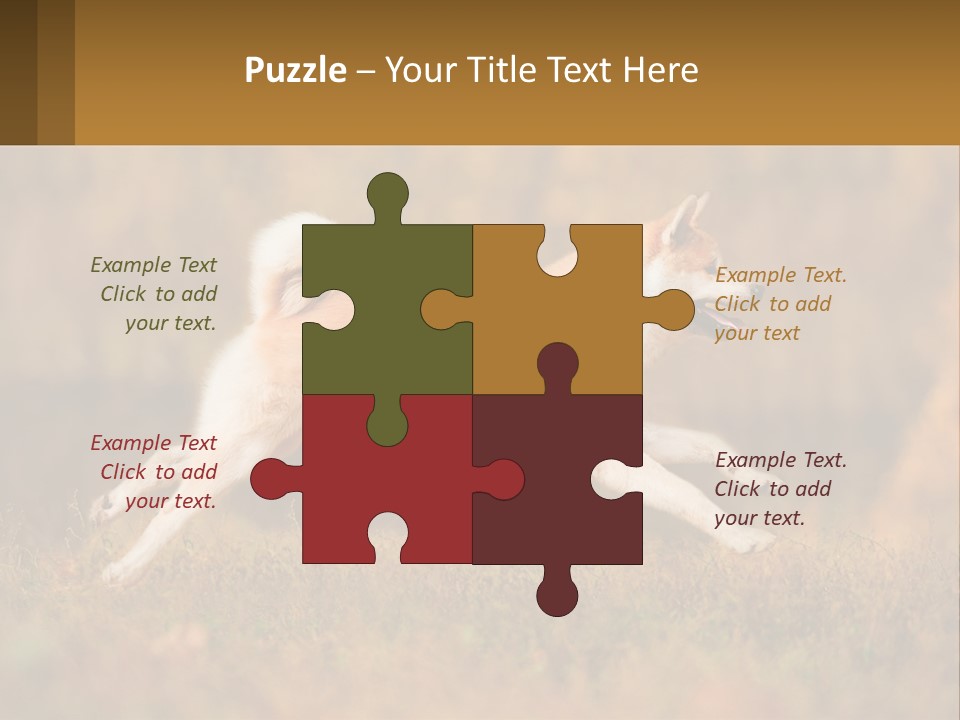 A Brown And White Dog Jumping In The Air PowerPoint Template