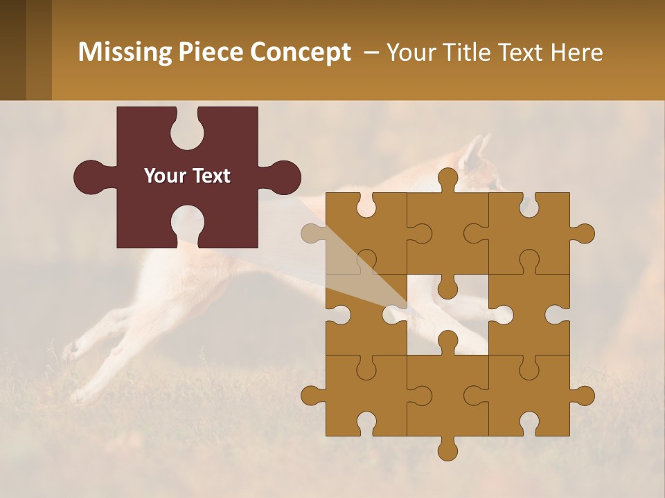 A Brown And White Dog Jumping In The Air PowerPoint Template