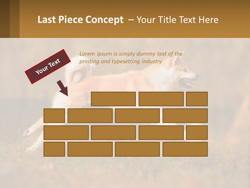 A Brown And White Dog Jumping In The Air PowerPoint Template