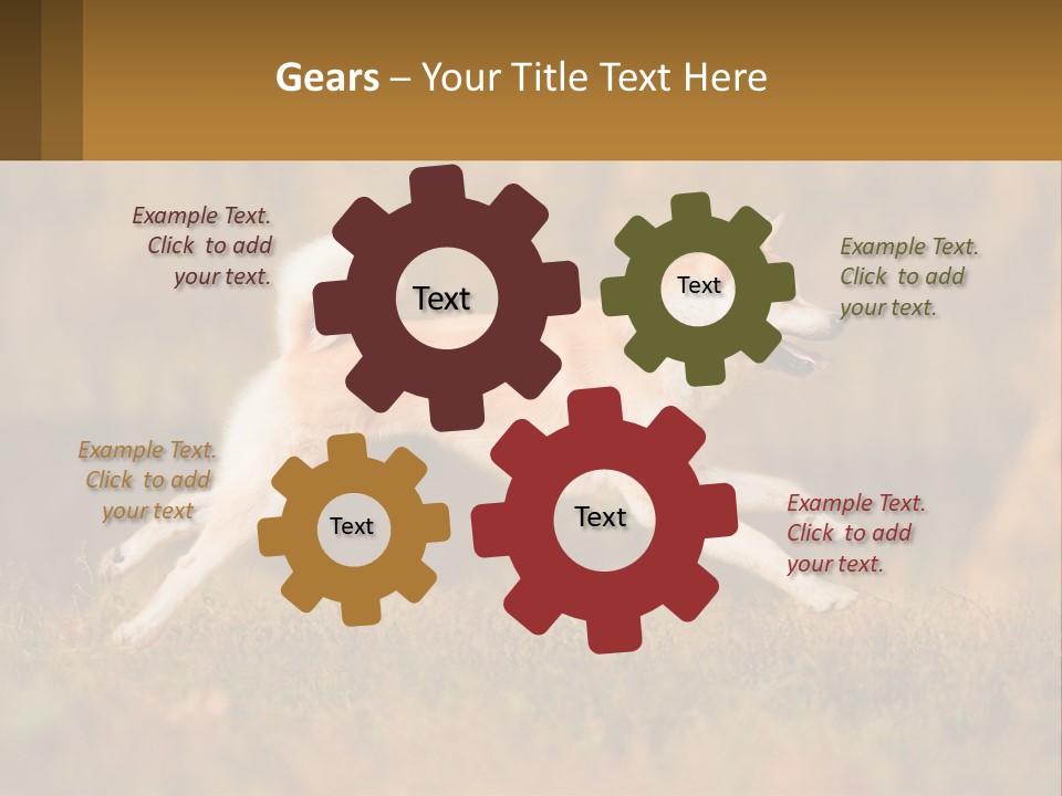 A Brown And White Dog Jumping In The Air PowerPoint Template