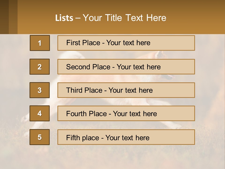 A Brown And White Dog Jumping In The Air PowerPoint Template