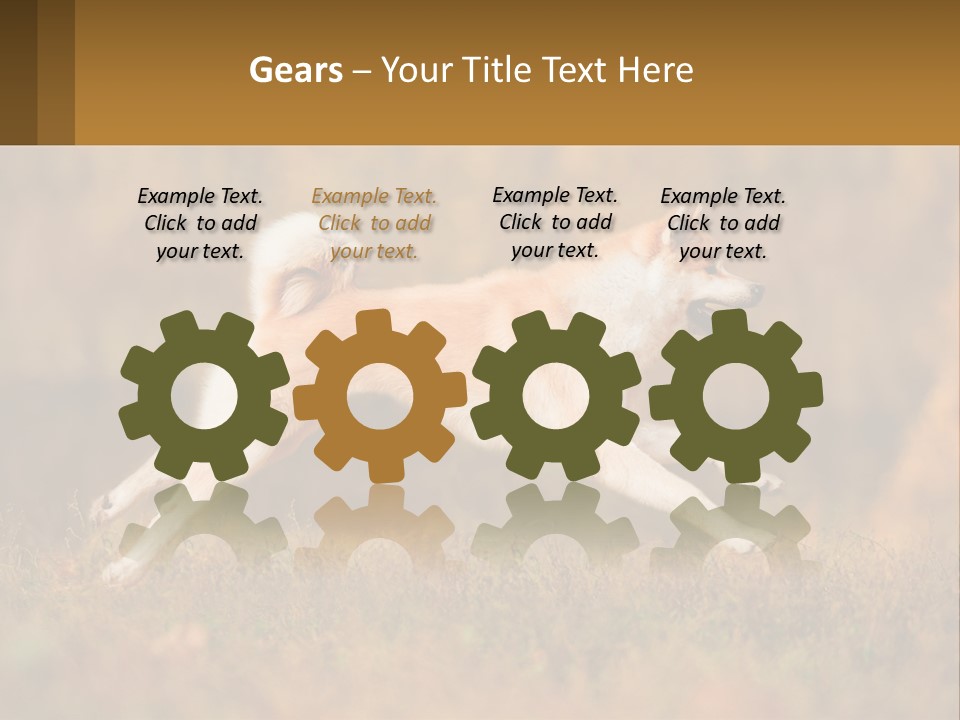 A Brown And White Dog Jumping In The Air PowerPoint Template