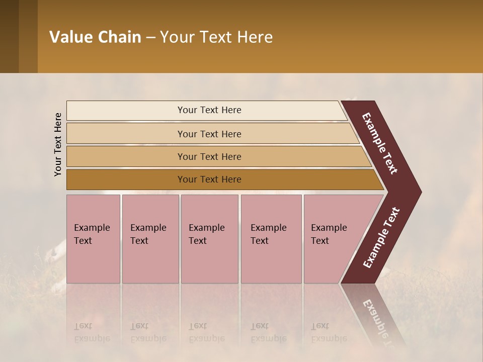 A Brown And White Dog Jumping In The Air PowerPoint Template