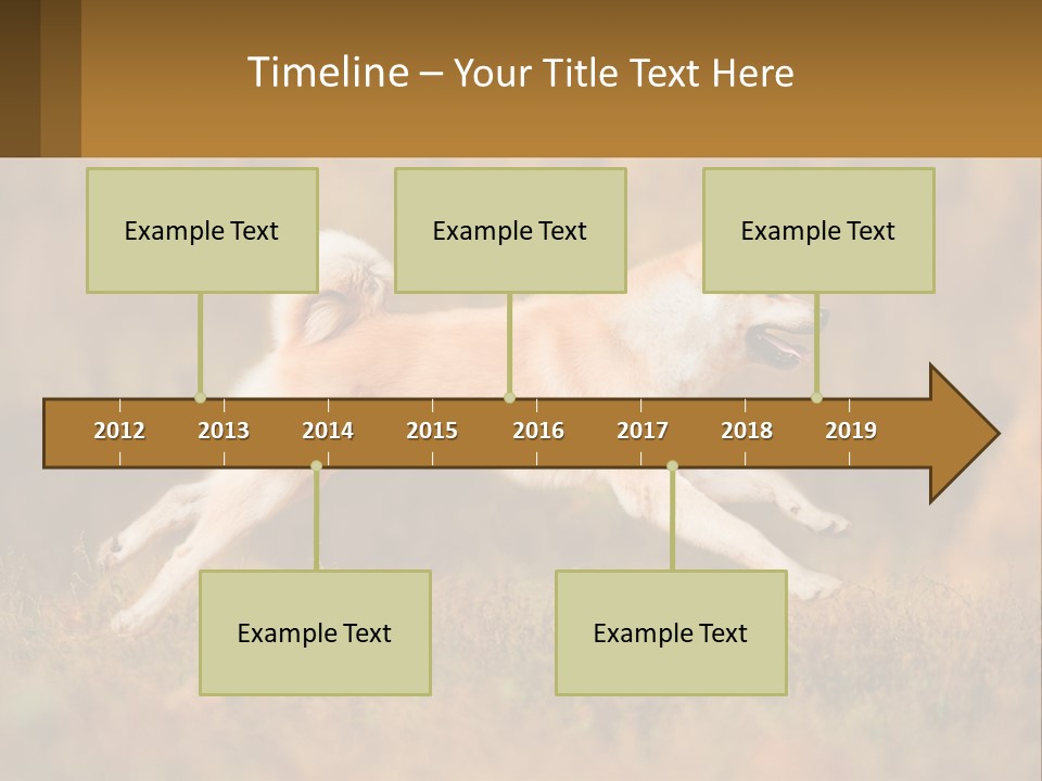 A Brown And White Dog Jumping In The Air PowerPoint Template