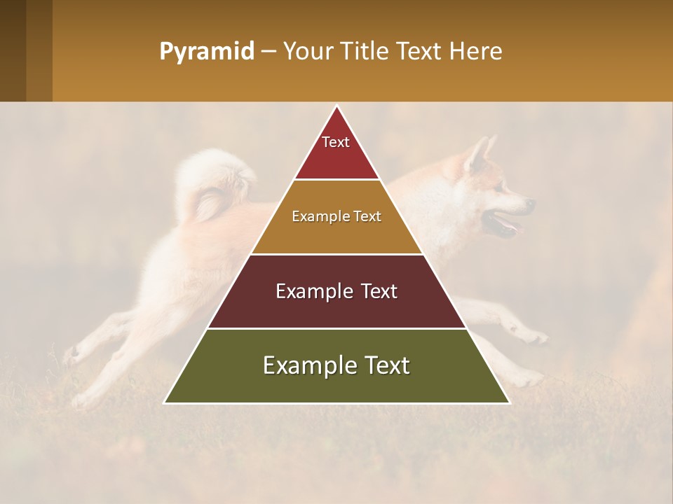 A Brown And White Dog Jumping In The Air PowerPoint Template