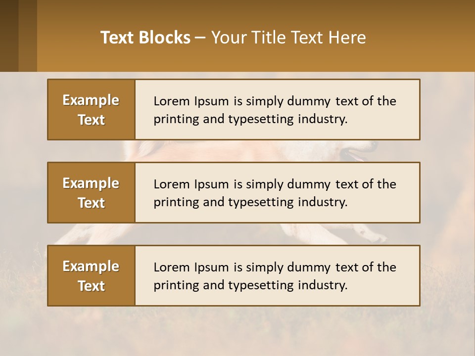 A Brown And White Dog Jumping In The Air PowerPoint Template