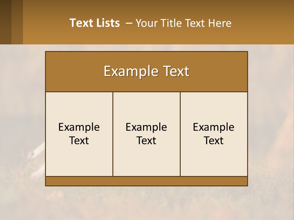A Brown And White Dog Jumping In The Air PowerPoint Template