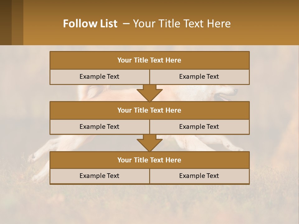 A Brown And White Dog Jumping In The Air PowerPoint Template