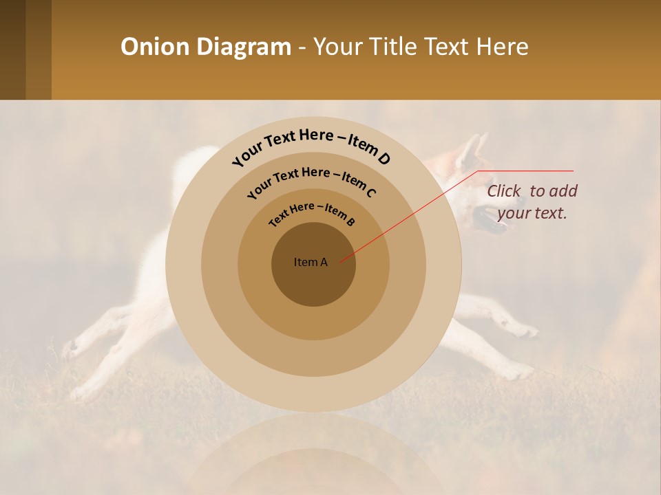 A Brown And White Dog Jumping In The Air PowerPoint Template