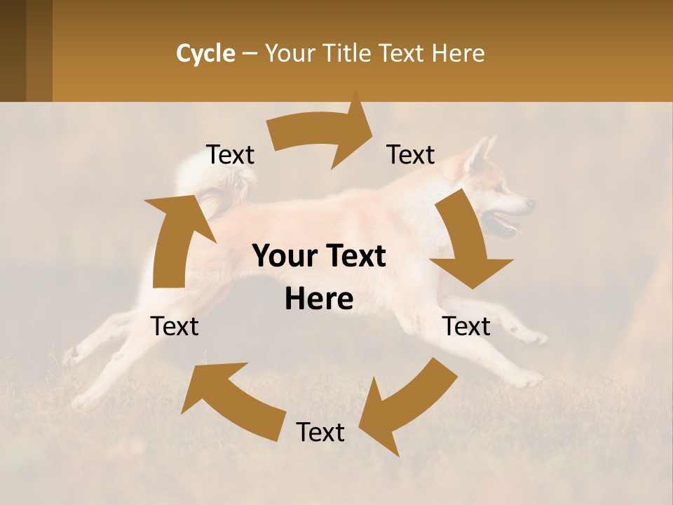 A Brown And White Dog Jumping In The Air PowerPoint Template