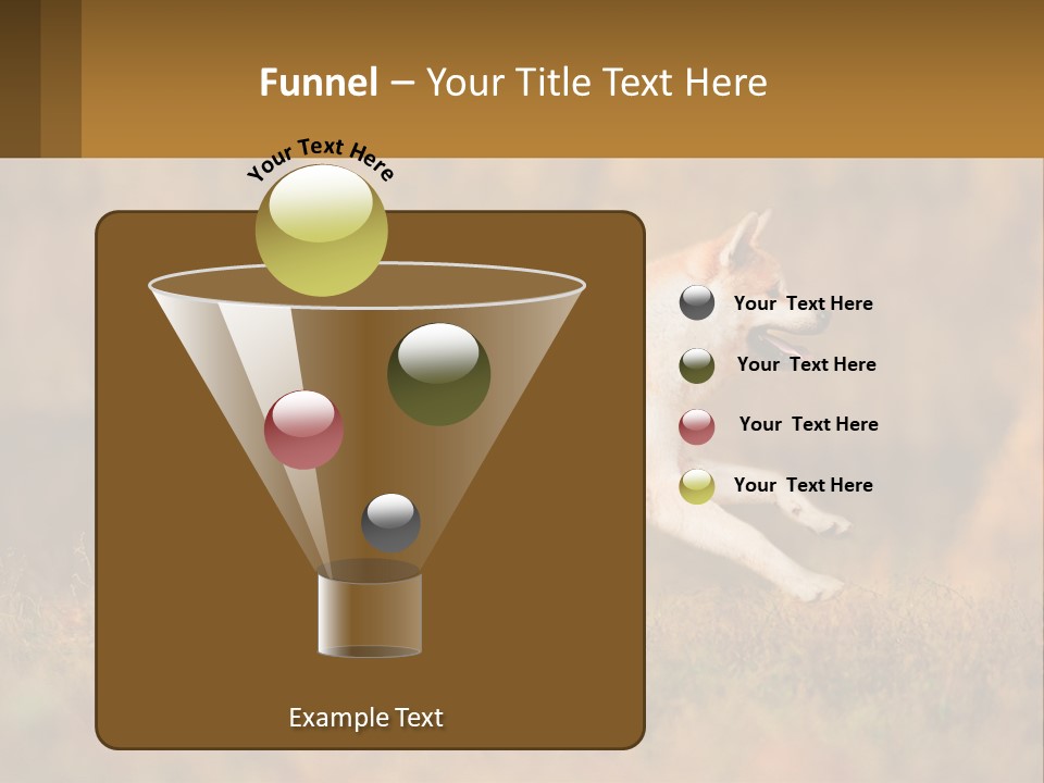 A Brown And White Dog Jumping In The Air PowerPoint Template