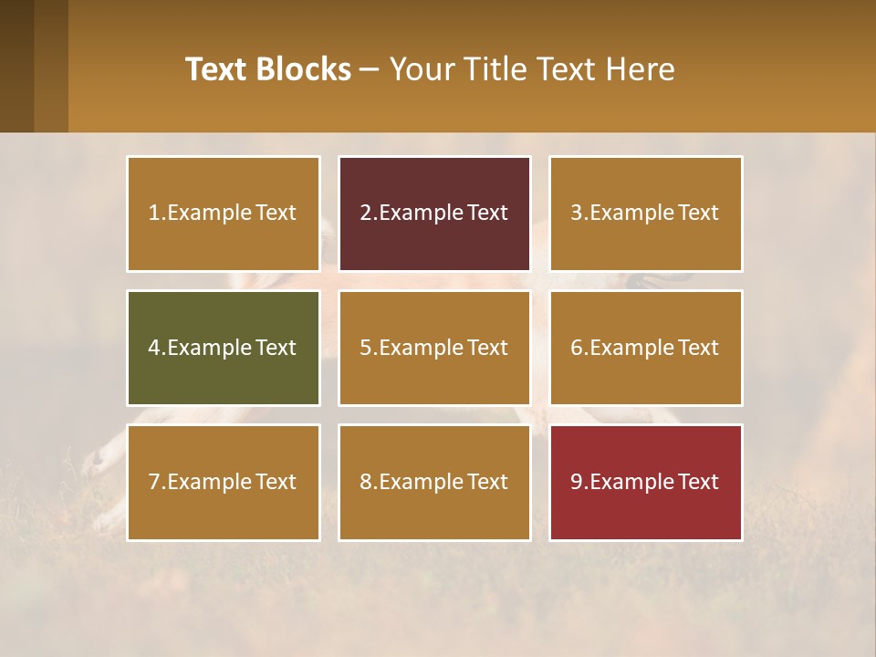 A Brown And White Dog Jumping In The Air PowerPoint Template