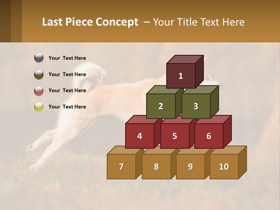 A Brown And White Dog Jumping In The Air PowerPoint Template